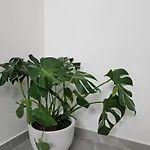 Marivar Living Apartamento Néa Fókaia